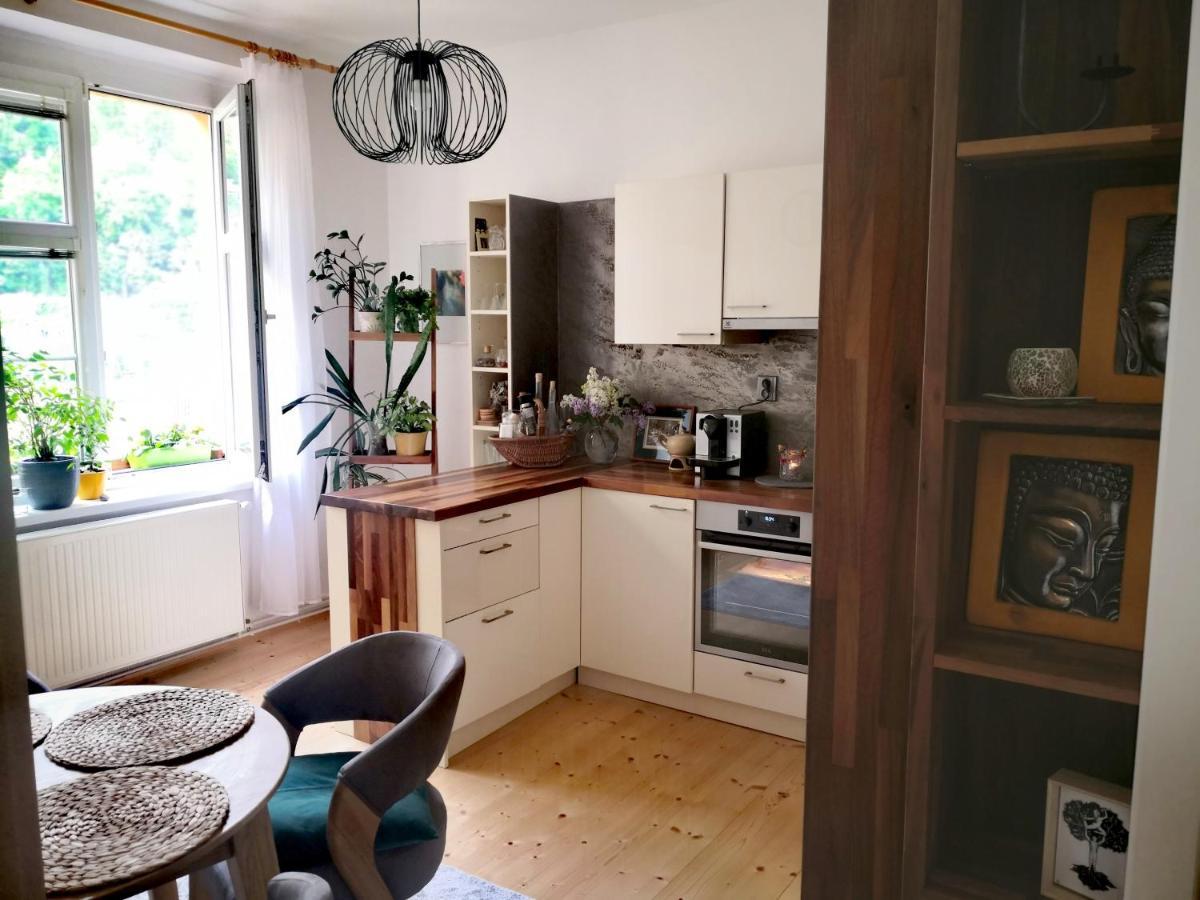 Apartmany Ivana Decin Exterior foto